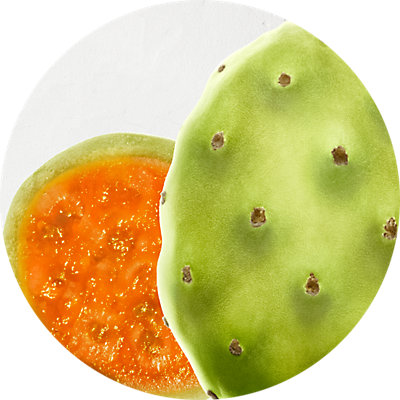 PEPTIDE & PRICKLY PEAR EXTRACT