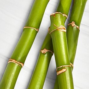 BAMBOO STEM EXTRACT